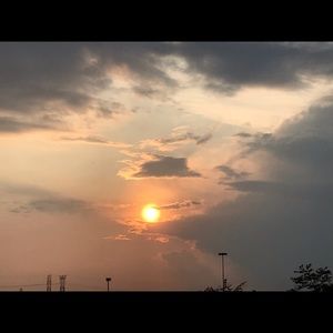 Meet your Posher, Sadie